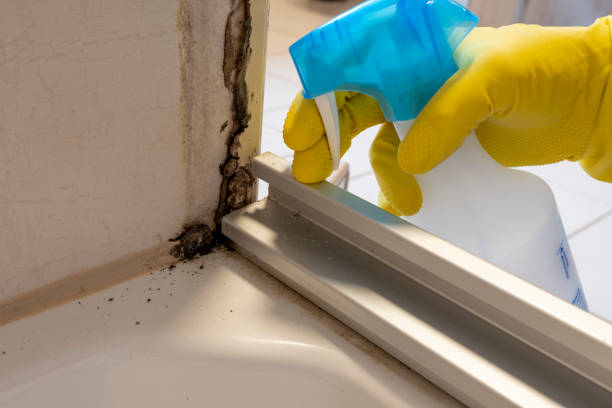 Best Real Estate Mold Inspection  in Hinton, OK